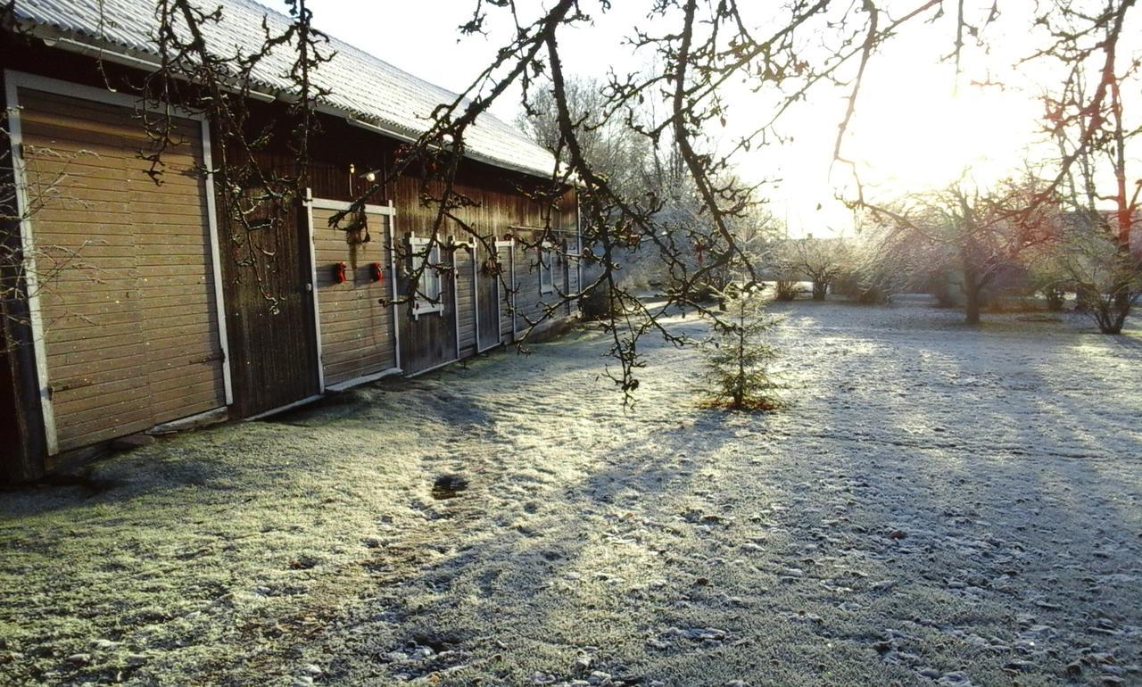 Draenggardens Stuga Pa Genuin Raettviksgard Boda  Exterior photo